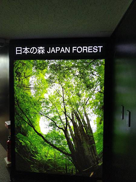 IMG_20181212_141945.jpg IMG_20181212_141945.jpg