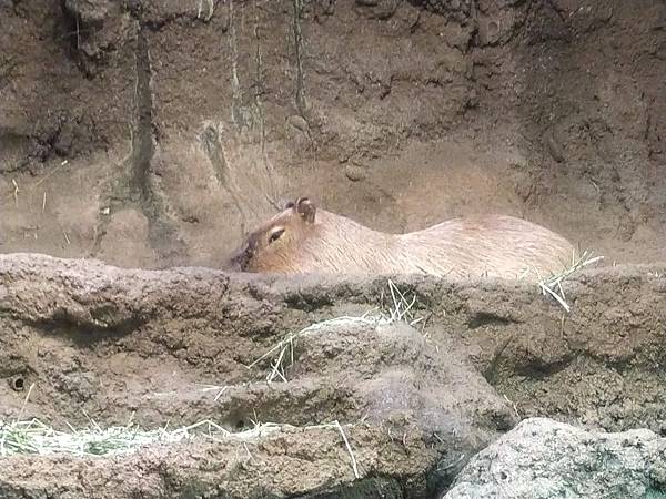 IMG_20181212_143129.jpg IMG_20181212_143129.jpg