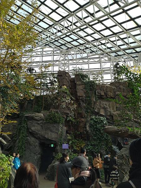 IMG_20181212_141951.jpg IMG_20181212_141951.jpg