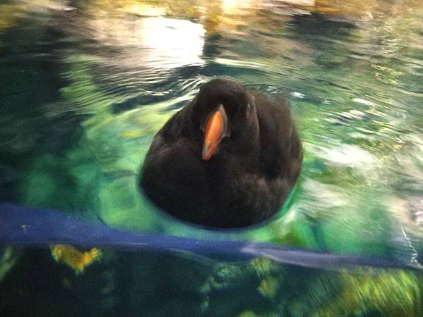 IMG_20181212_142438.jpg IMG_20181212_142438.jpg