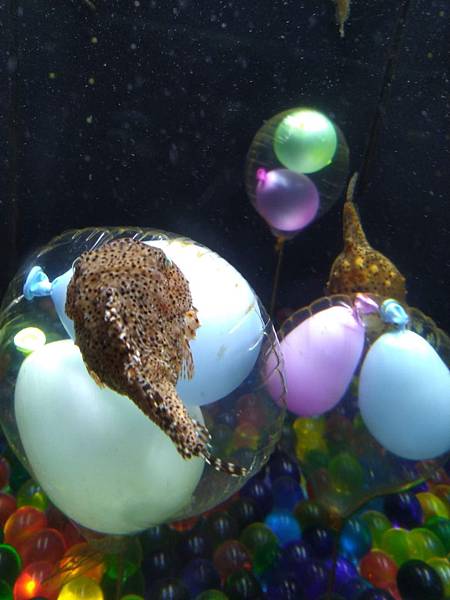 IMG_20181212_145545.jpg IMG_20181212_145545.jpg