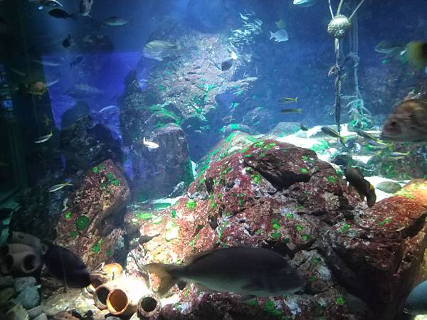 IMG_20181212_143856.jpg IMG_20181212_143856.jpg