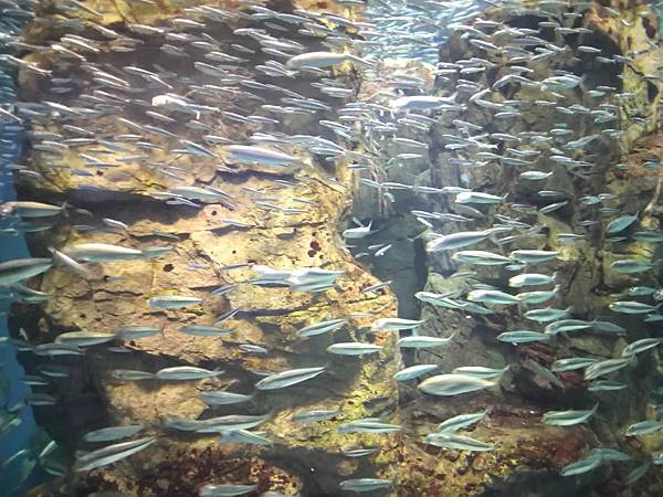 IMG_20181212_145330.jpg IMG_20181212_145330.jpg