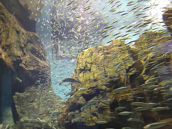 IMG_20181212_144749.jpg IMG_20181212_144749.jpg