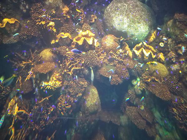 IMG_20181212_143508.jpg IMG_20181212_143508.jpg