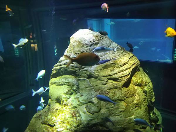 IMG_20181212_145721.jpg IMG_20181212_145721.jpg