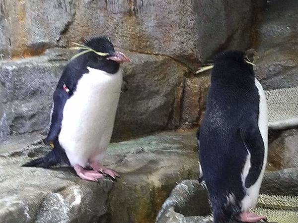 IMG_20181212_154544.jpg IMG_20181212_154544.jpg