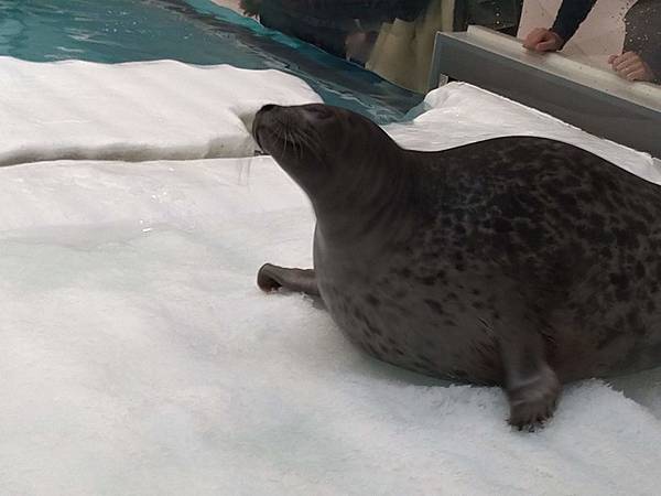 IMG_20181212_153903.jpg IMG_20181212_153903.jpg