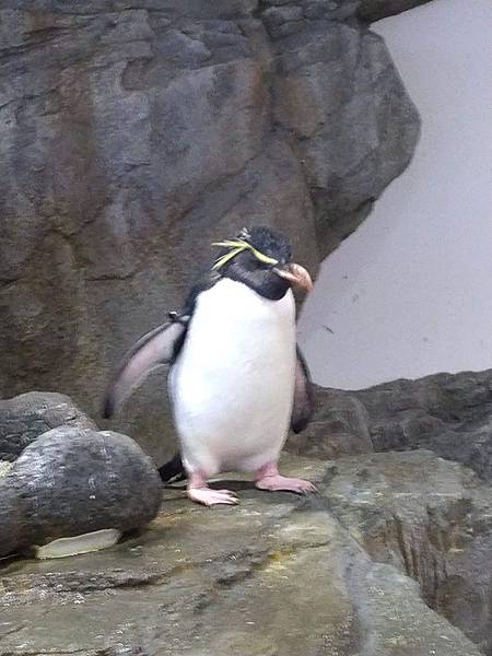 IMG_20181212_152631.jpg IMG_20181212_152631.jpg