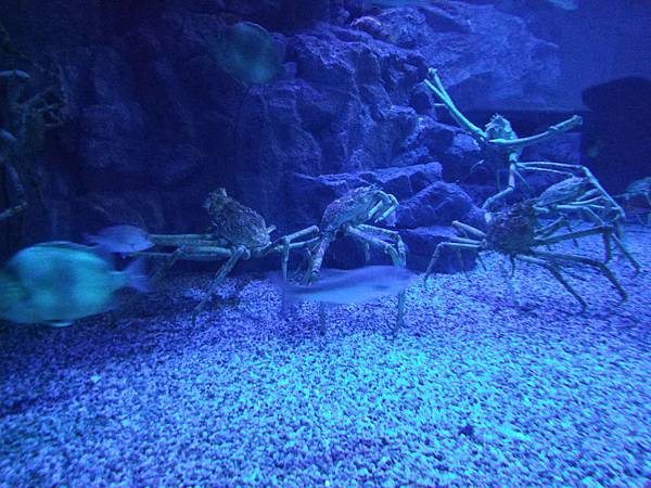 IMG_20181212_151018.jpg IMG_20181212_151018.jpg