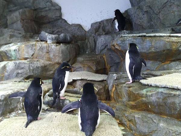 IMG_20181212_154932.jpg IMG_20181212_154932.jpg