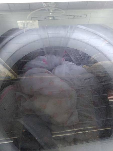 IMG_20190518_160439.jpg IMG_20190518_160439.jpg