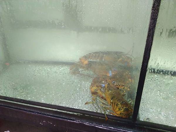 IMG_20190712_201050.jpg IMG_20190712_201050.jpg