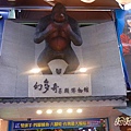 加板模DSCN0079.jpg