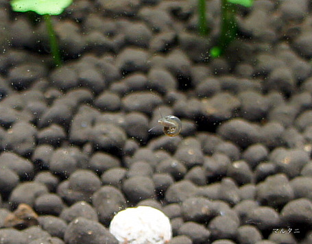 DSC08651.JPG DSC08651.JPG