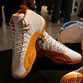 AJ12 PE