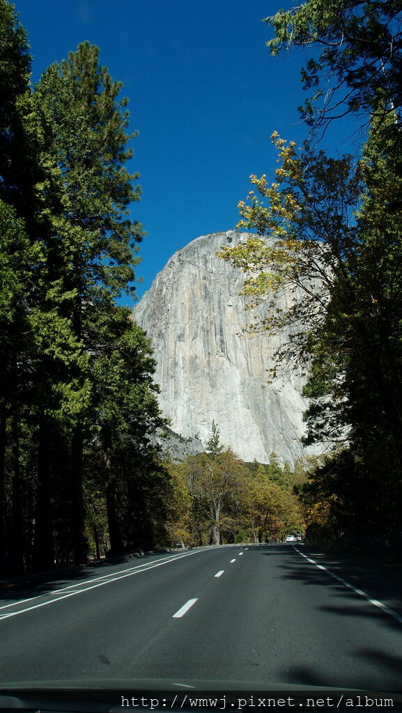 PA211130.JPG PA211130.JPG