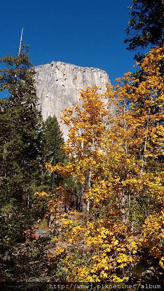 PA211156.JPG PA211156.JPG