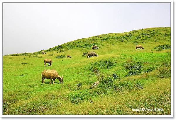 桃源谷-092