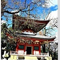 京都D3-032.JPG