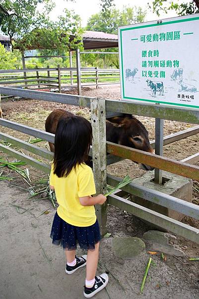 109年花蓮家族旅行-044.JPG