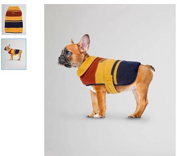 Yellowstone dog coat.jpg