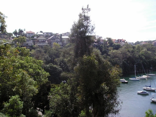 view of Cremorne Reserve 3