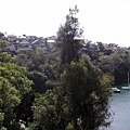 view of Cremorne Reserve 3