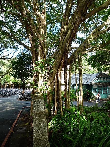 1210.JPG 1210.JPG