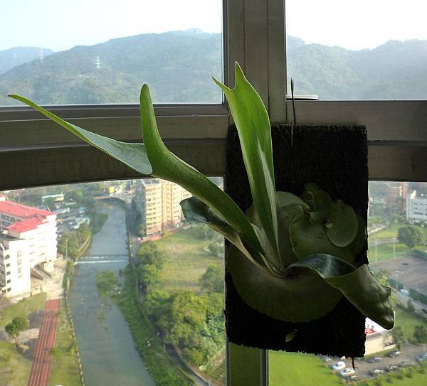 P1020156.JPG P1020156.JPG
