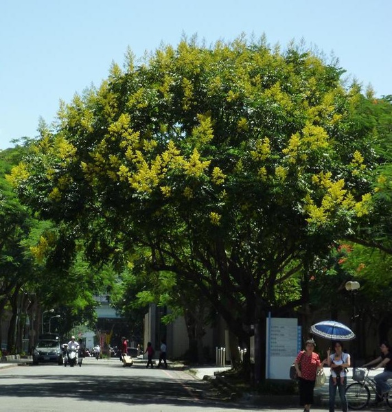 09234.JPG 09234.JPG