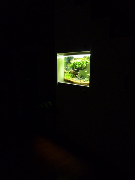 P1000206.JPG P1000206.JPG