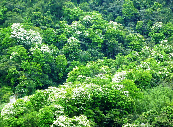 P10007551.jpg P10007551.jpg