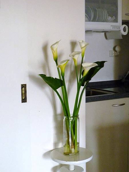 04081.jpg 04081.jpg