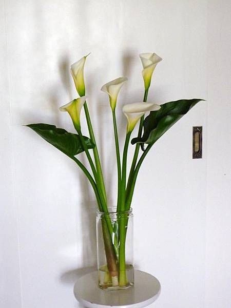 0408.jpg 0408.jpg