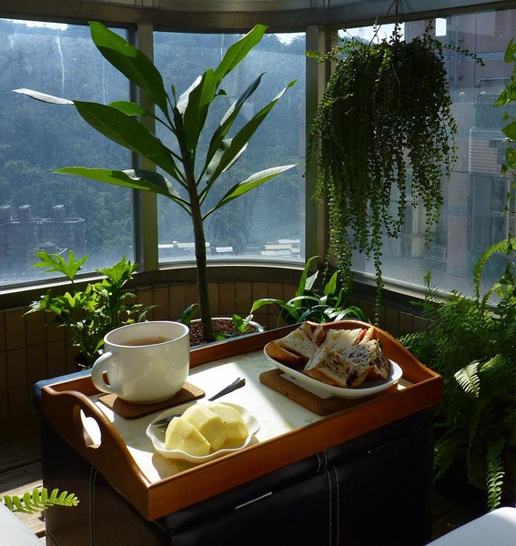 P1010364.JPG P1010364.JPG