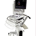 全新、中古(二手)GE Vivid S6 Brochure心臟超音波掃描儀(落地型)(心臟、腹部、頸動脈、骨骼肌肉關節)_頁面_11.jpg