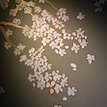 IMAG_0191.jpg