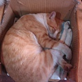 IMAG_0146.jpg