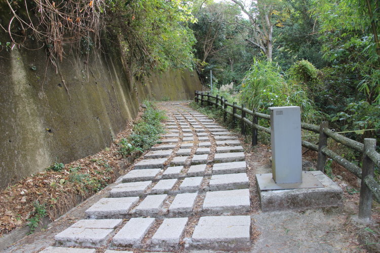 大坑 第一步道 第二步道 散步爬山