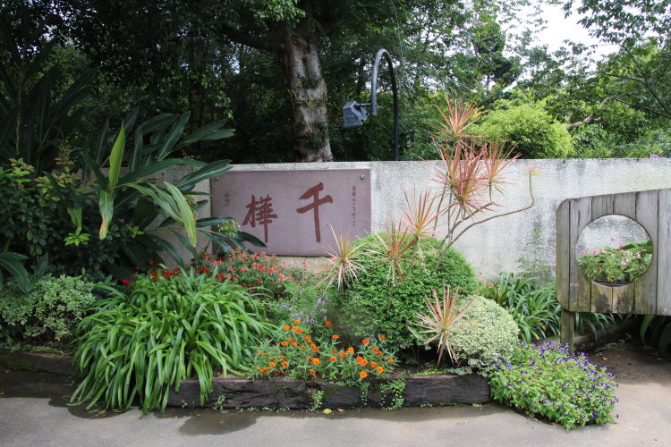 千樺花園 百花盛開 蝴蝶飛舞 悠閒的美好時光 千樺花園 百花盛開 蝴蝶飛舞 悠閒的美好時光