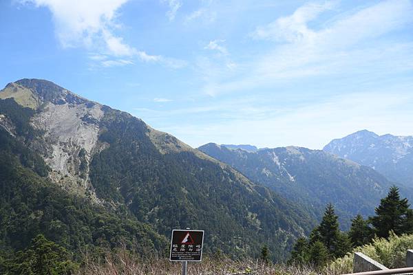 合歡山 武陵農場 合歡山 武陵農場