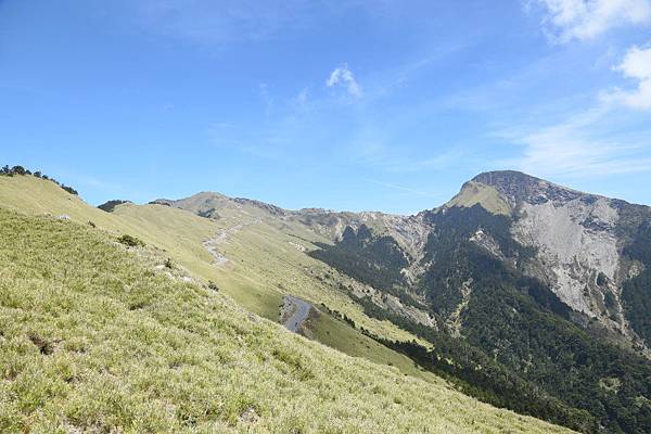 合歡山 武陵農場