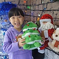 DSC09838-1.JPG