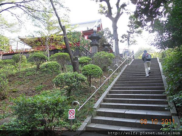 DSCN-2821-往寬永寺.JPG