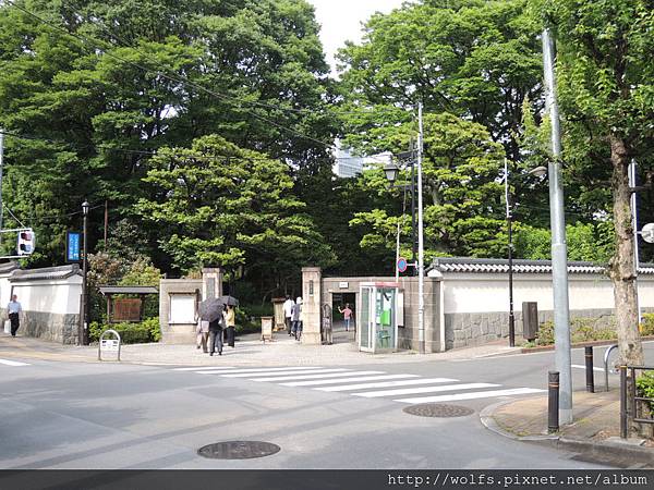 DSCN1368小石川後樂園