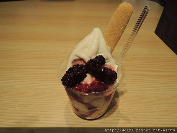 DSCN2836-Unbaked Cheese Cake(450円)