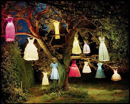 tim walker from wolfysita