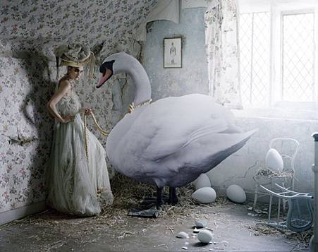 tim walker from wolfysita