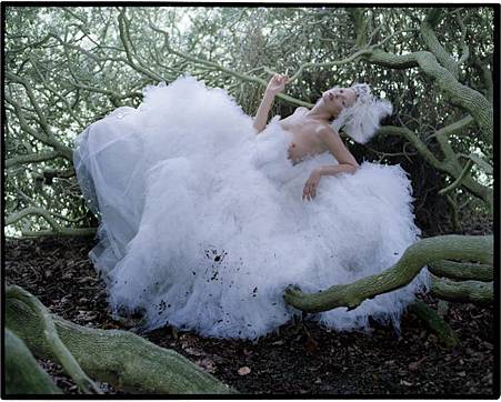 tim walker from wolfysita